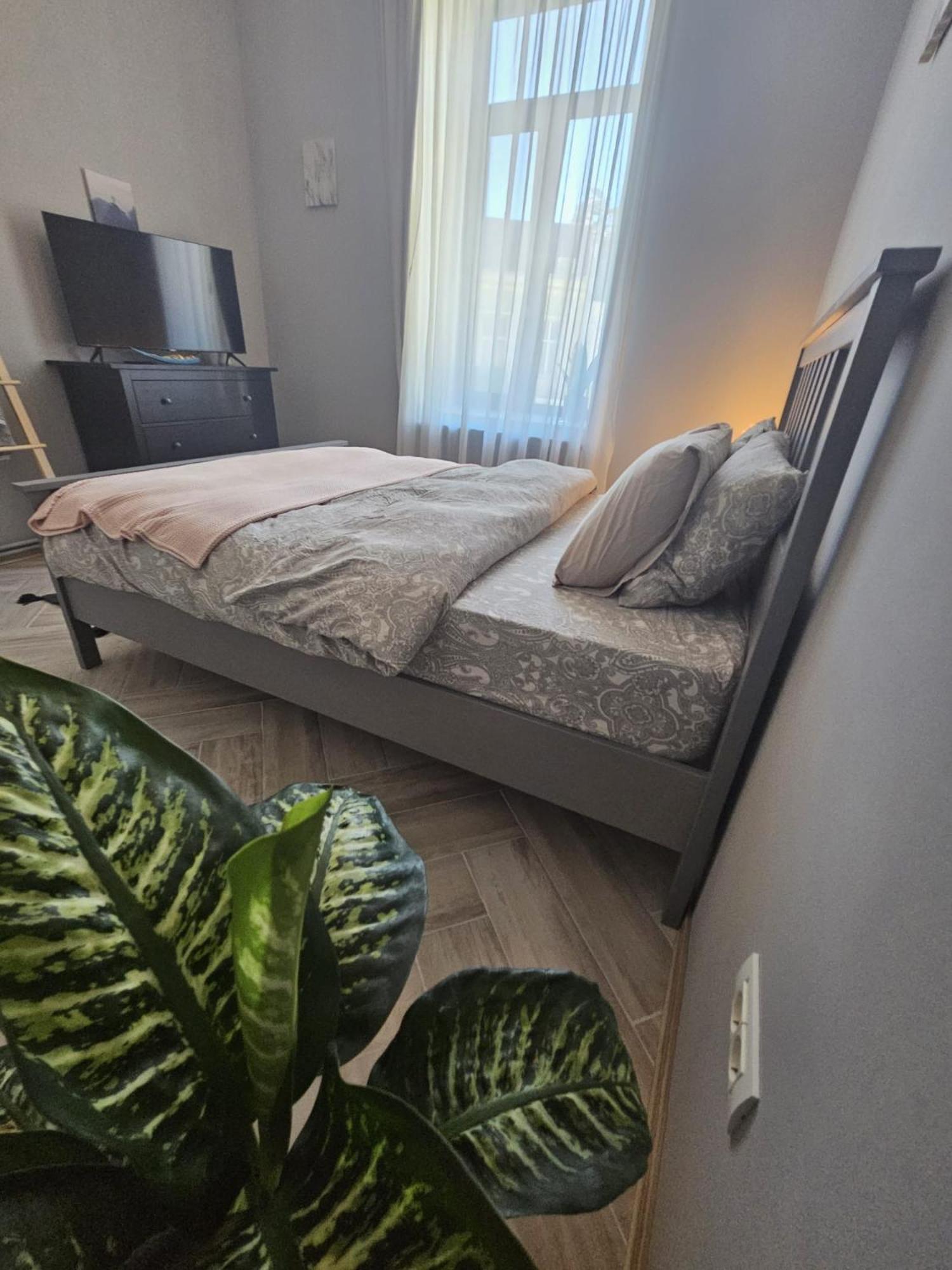Zig Zag Apartment 4- Old Town Constanta Bagian luar foto